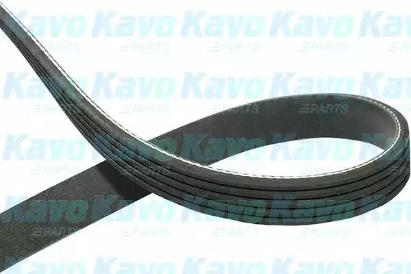 Kavo Parts DMV-5534 Ремінь поліклиновий
