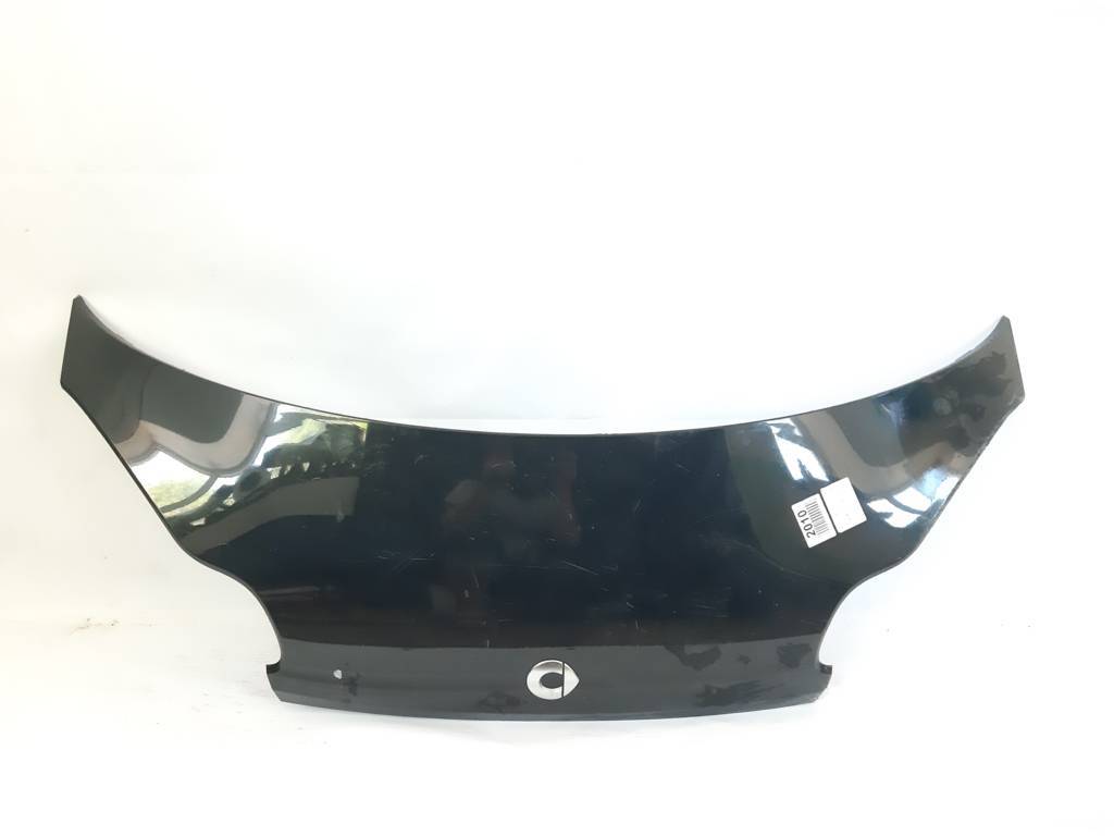Mercedes-Benz A4517510102CA7L Hood
