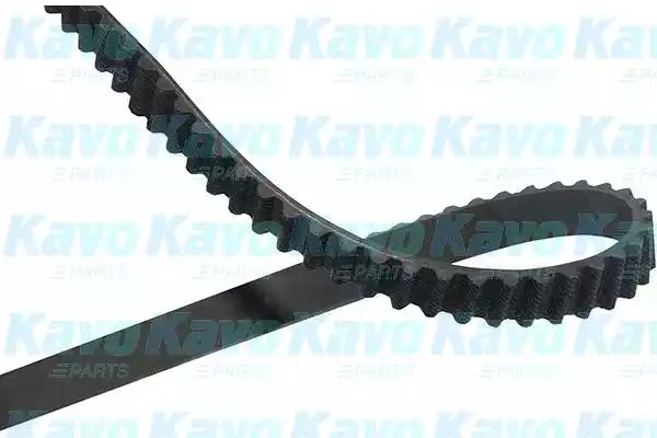 Kavo Parts DTB-1011 Ремінь ГРМ Kavo Parts DTB-1011 Ремінь ГРМ