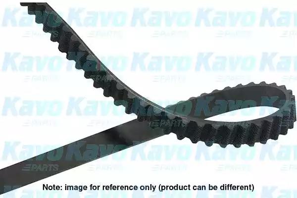 Kavo Parts DTB-3507 Belt timing
