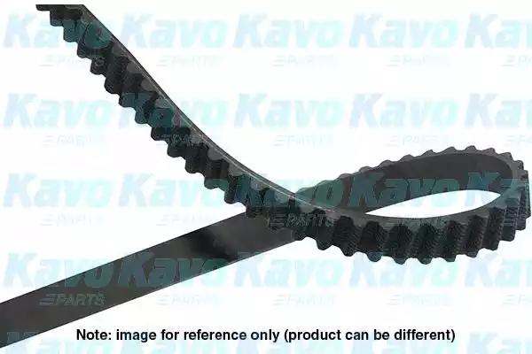 Kavo Parts DTB-8522 Ремінь ГРМ