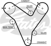 Gates 5379XS Belt timing Gates 5379XS Belt timing