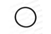 Impergom 26636 Gasket oil pump