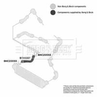 Borg & Beck BTH1087 Патрубок інтеркулера