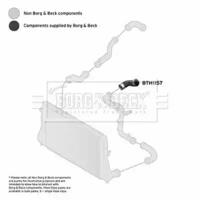 Borg & Beck BTH1157 Патрубок интеркулера