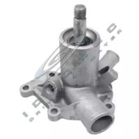 CAR 330486 Water pump