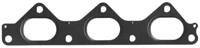 Glaser X82266-01 Прокладка колектора випускного
