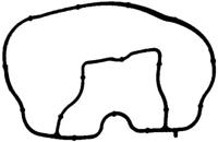 Glaser X88316-01 Gasket graphite Glaser X88316-01 Gasket graphite