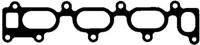 Glaser X89750-01 Gasket graphite