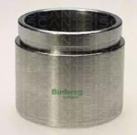 Triscan 8170236030 Piston assy caliper