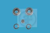 Autofren D3329 Bizt csoma