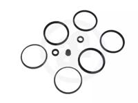 Autofren D4077 Ремкомплект суппорта тормозного Autofren D4077 Ремкомплект суппорта тормозного