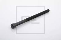 PE Automotive 105.301-00A Screw