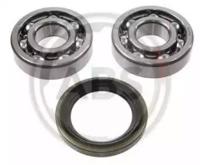 A.B.S. 200913 Wheel bearing
