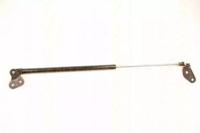 Triscan 871050228 Пружина газова кришки багажника