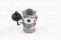 IPD 45-8035 Клапан рециркуляції відпрацьованих газів