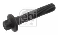 Febi 33034 Screw
