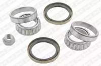 SNR R172.01 Wheel bearing