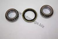 Automega 110013810 Wheel bearing Automega 110013810 Wheel bearing