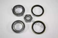 Automega 110023010 Подшипник ступицы колеса