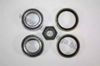 Automega 110023110 Подшипник ступицы колеса