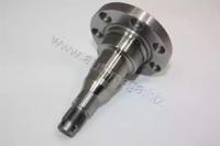 Automega 110030410 Маточина колеса