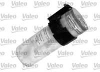 Valeo 509719 Осушувач кондиціонера