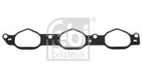 Febi 48379 Gasket graphite
