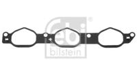 Febi 48380 Gasket graphite