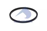 Sampa 032.464 Gasket graphite