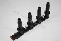 Automega 150080810 Coil assy ignition