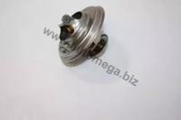 Automega 160024510 Термостат