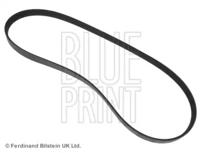 Blue Print ADC49624 Belt v Blue Print ADC49624 Belt v