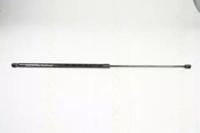 Triscan 871029129 Амортизатор капота