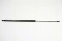 Triscan 871029273 Пружина газова