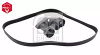 Febi 40170 Belt v