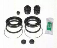 Triscan 8170204216 Repair kit disc brake