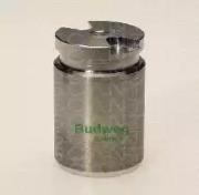 Triscan 8170233013 Piston assy caliper