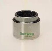 Triscan 8170233405 Piston assy caliper