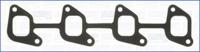 Wilmink Group WG1161307 Gasket graphite
