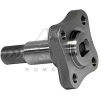 Asam 30247 Цапфа