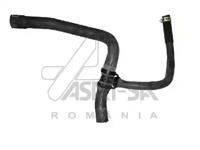 Asam 30391 Патрубок