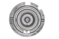 Vemo V99-84-0017 Лампа накаливания