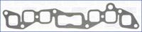 Ajusa 13013900 Gasket manifold Ajusa 13013900 Gasket manifold