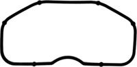 Glaser X89852-01 Gasket graphite Glaser X89852-01 Gasket graphite