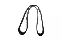 Bugiad BSP21889 Belt timing