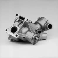 Hepu P164 Water pump