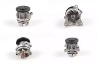 Hepu P251 Water pump