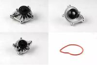 Hepu P495 Water pump