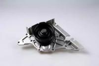 Hepu P544 Water pump